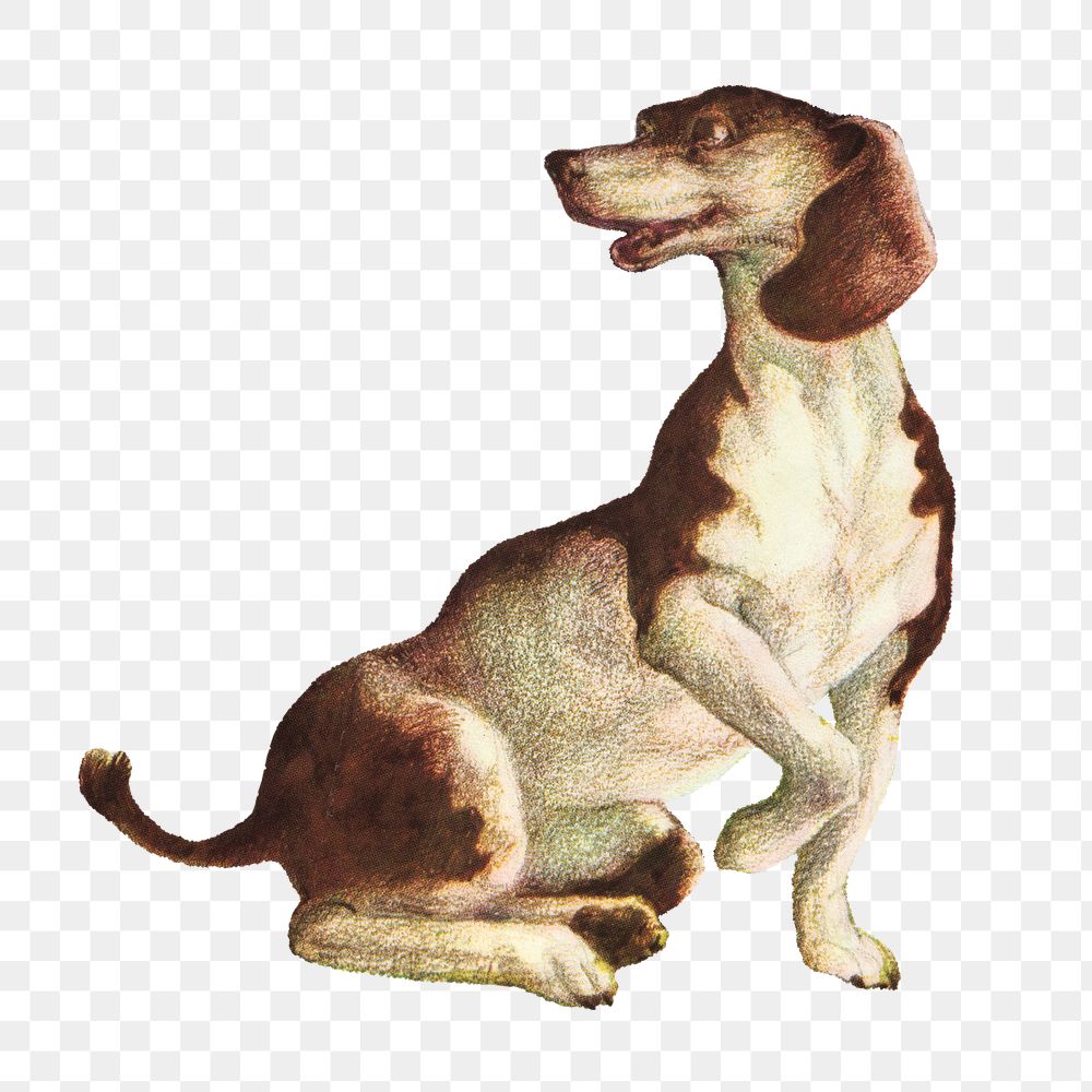 Vintage dog png sticker, animal on transparent background.   Remixed by rawpixel.