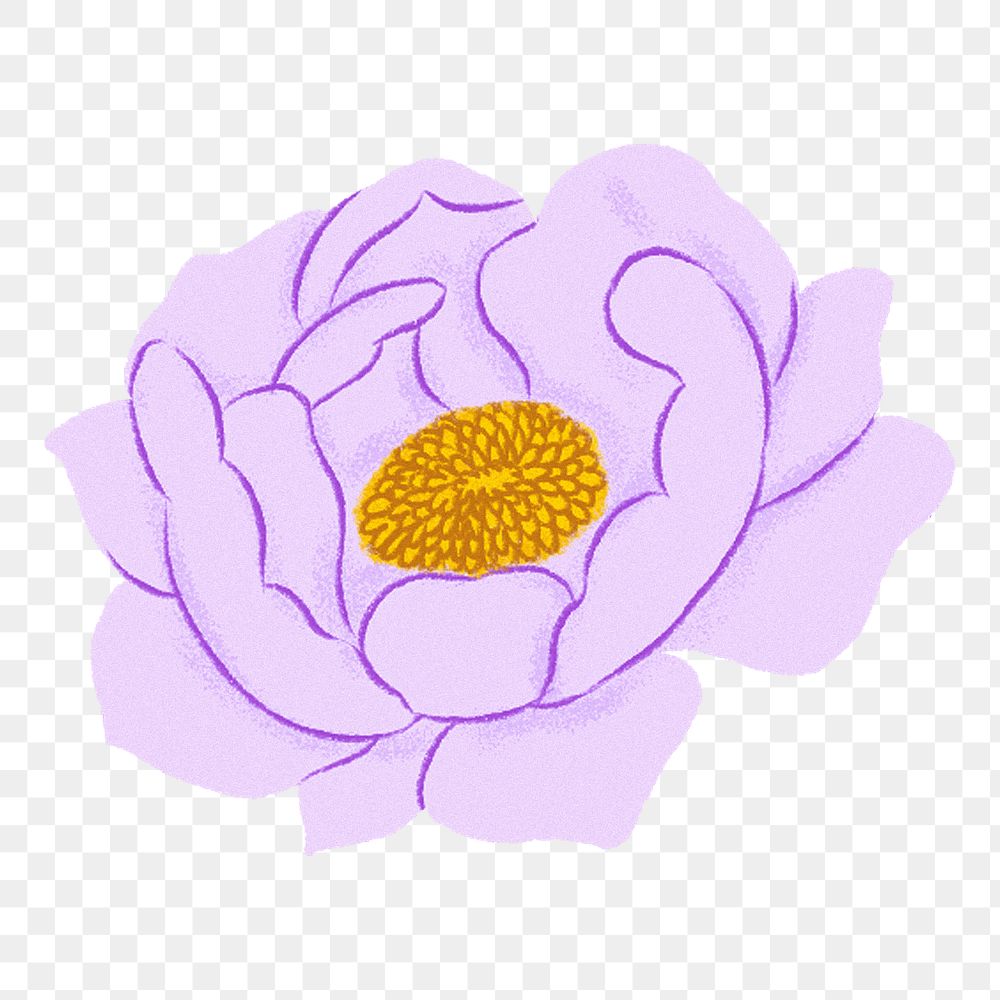 Purple peony png flower sticker, transparent background