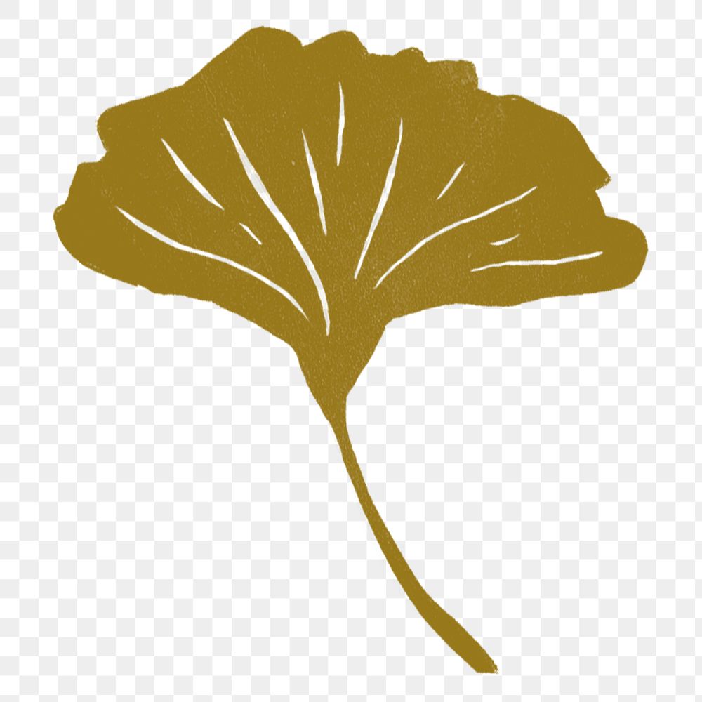 Ginkgo leaf png illustration sticker, transparent background