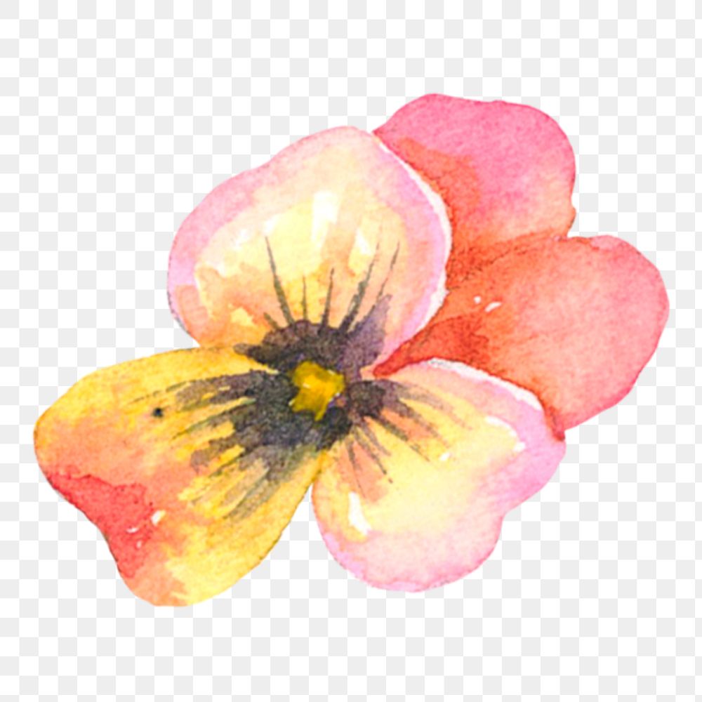 PNG pink watercolor flower sticker, transparent background