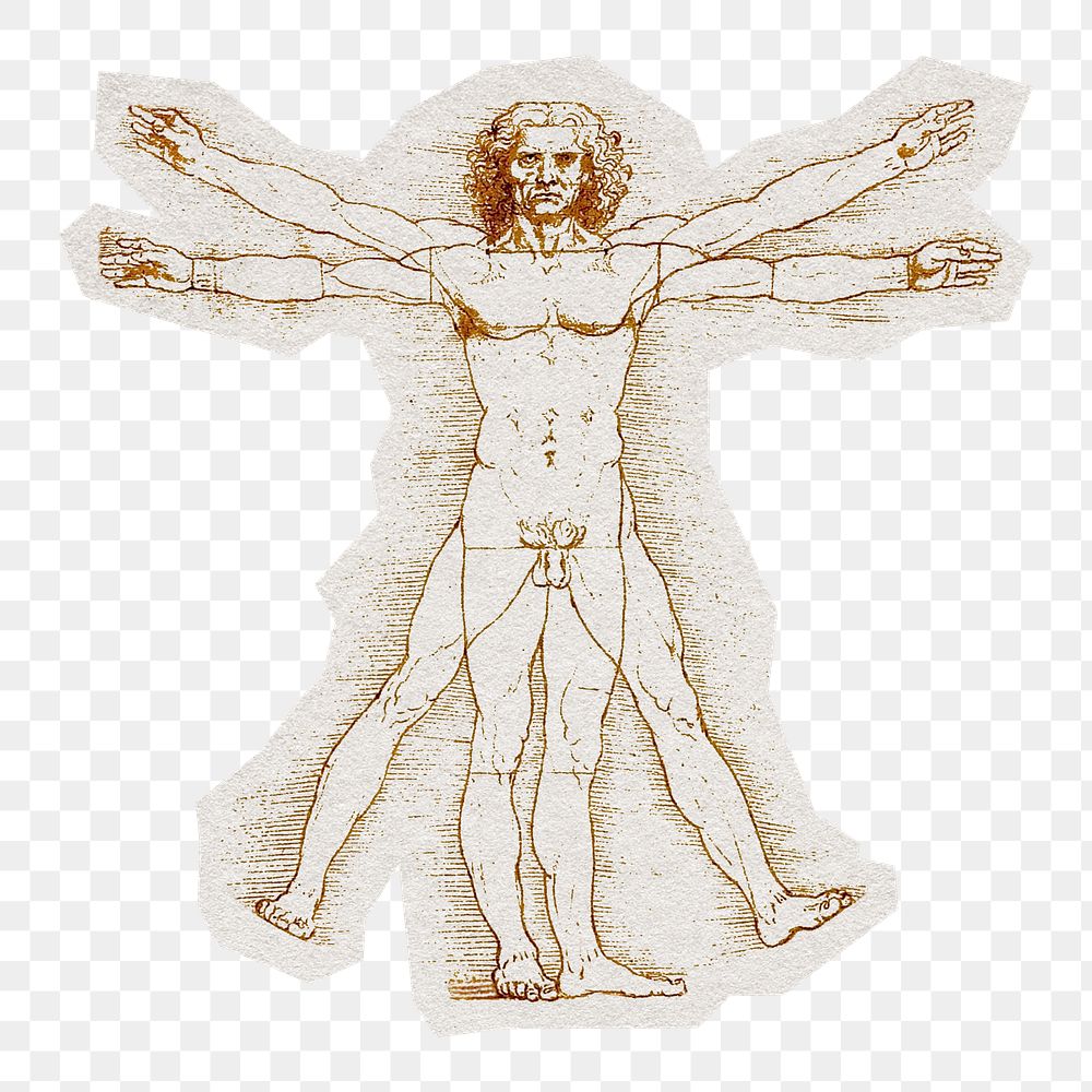 Leonardo da Vinci's png Vitruvian Man sticker, transparent background, remixed by rawpixel.