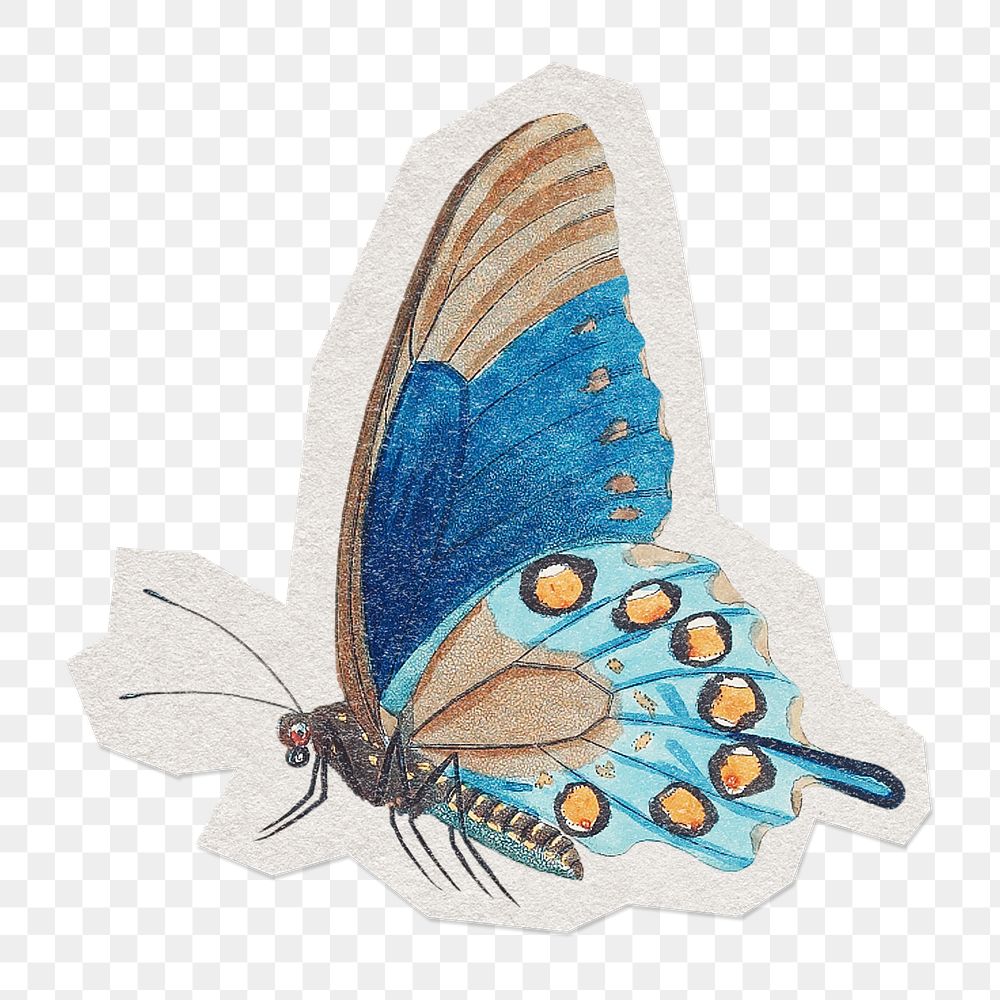 Blue butterfly png insect sticker, paper cut on transparent background