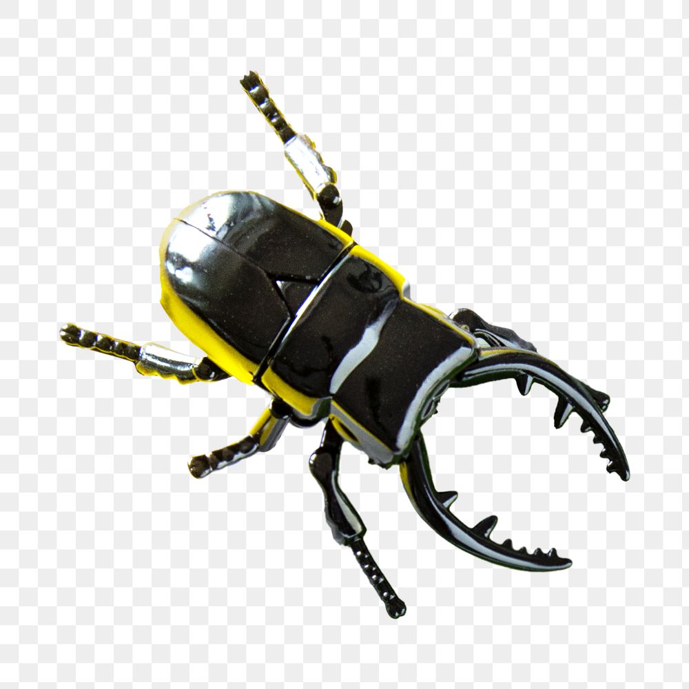 Winged beetle png toy, transparent background