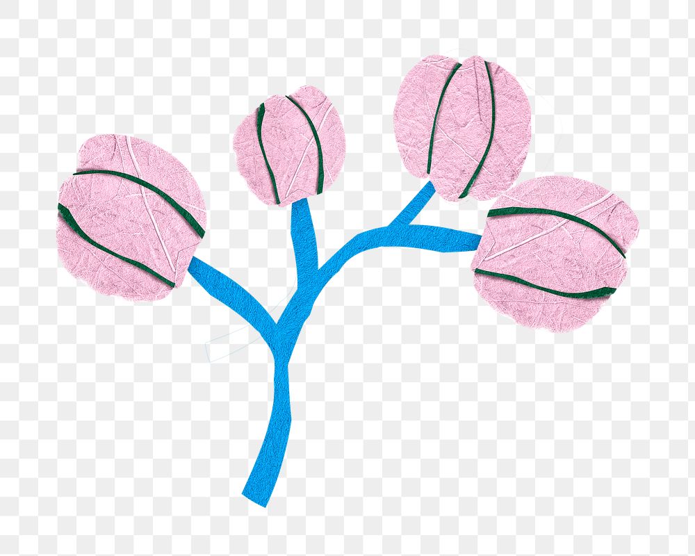 Cherry blossom png sticker, transparent background