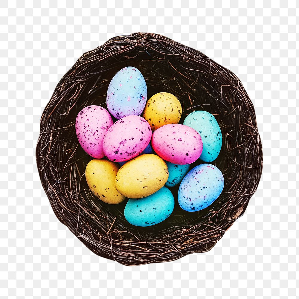 Easter eggs nest png, transparent background