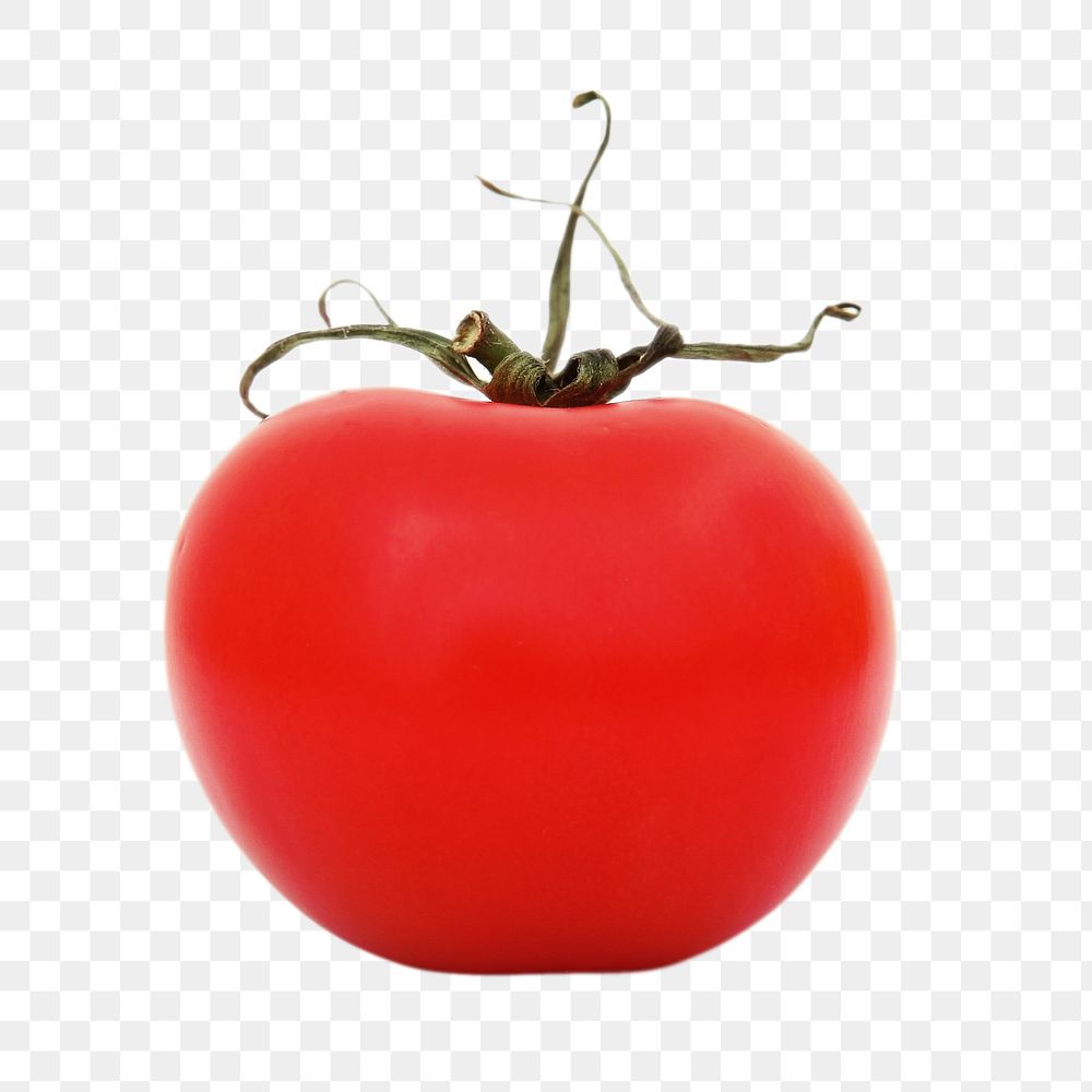 Tomato vegetable png, transparent background