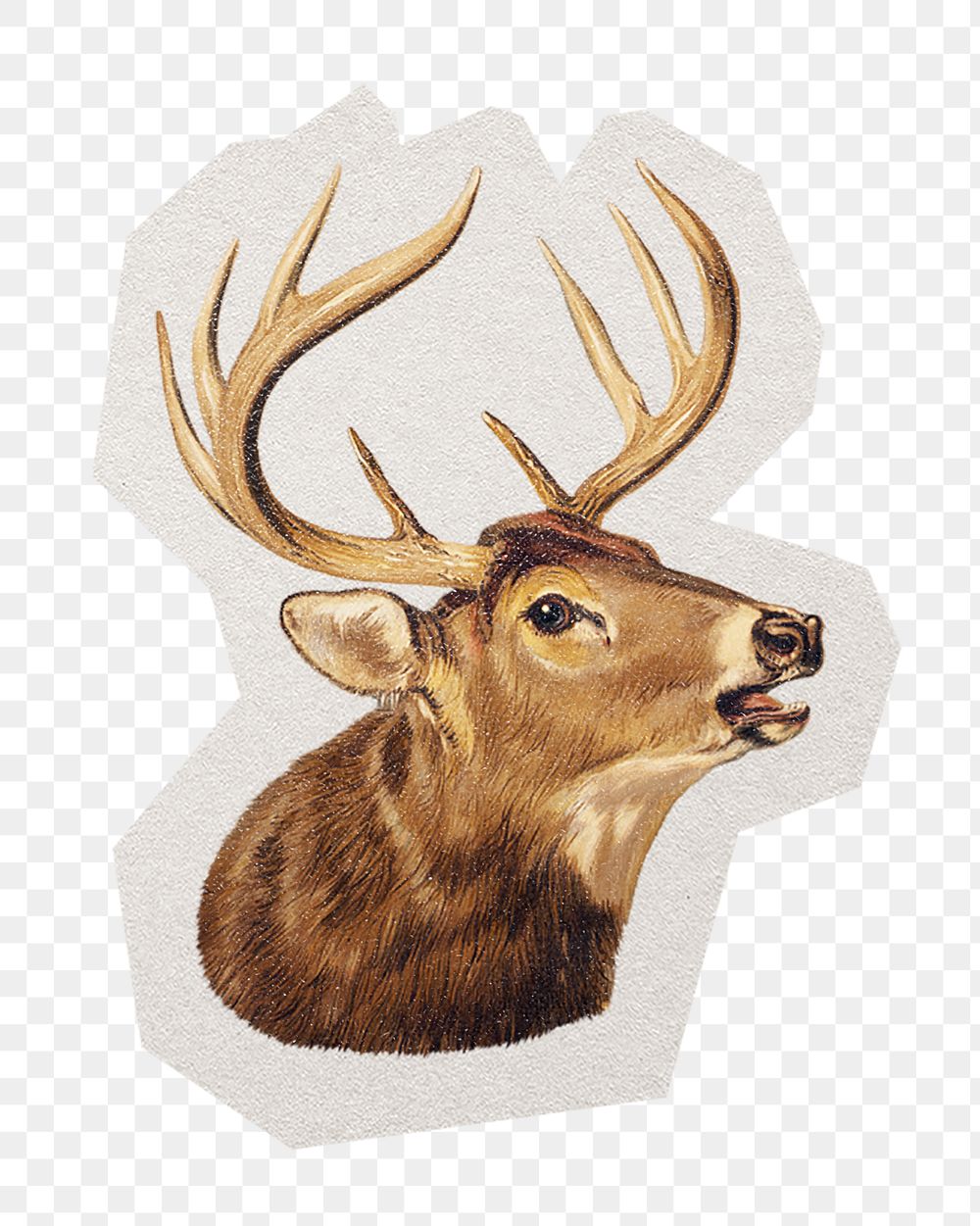 PNG deer sticker with white border, transparent background