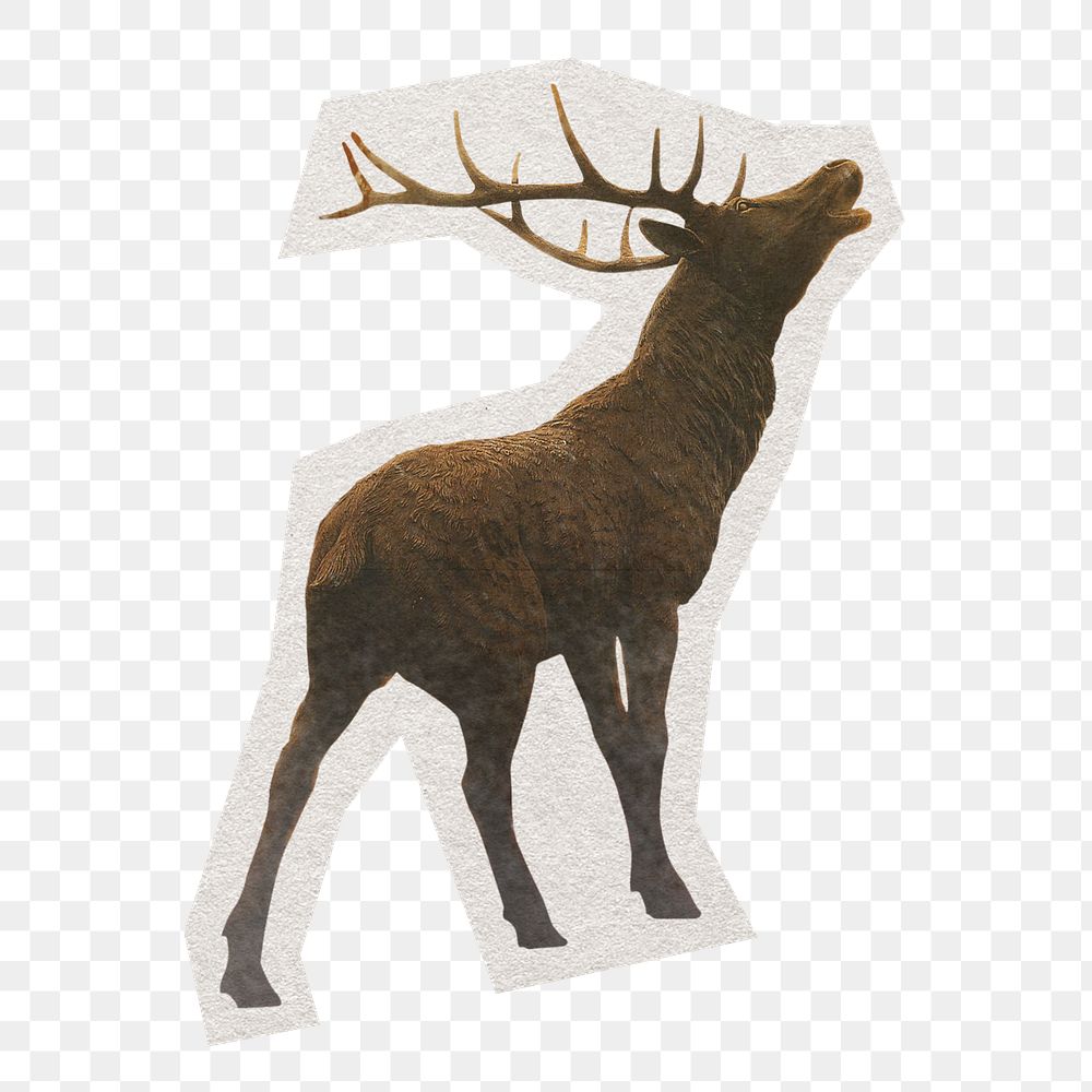 PNG stag, animal sticker with white border, transparent background