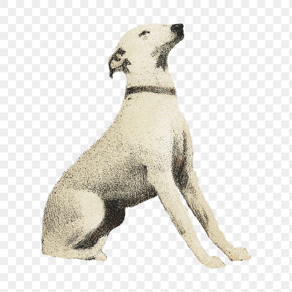 White dog png vintage paiting, Orloffer, design element, transparent background