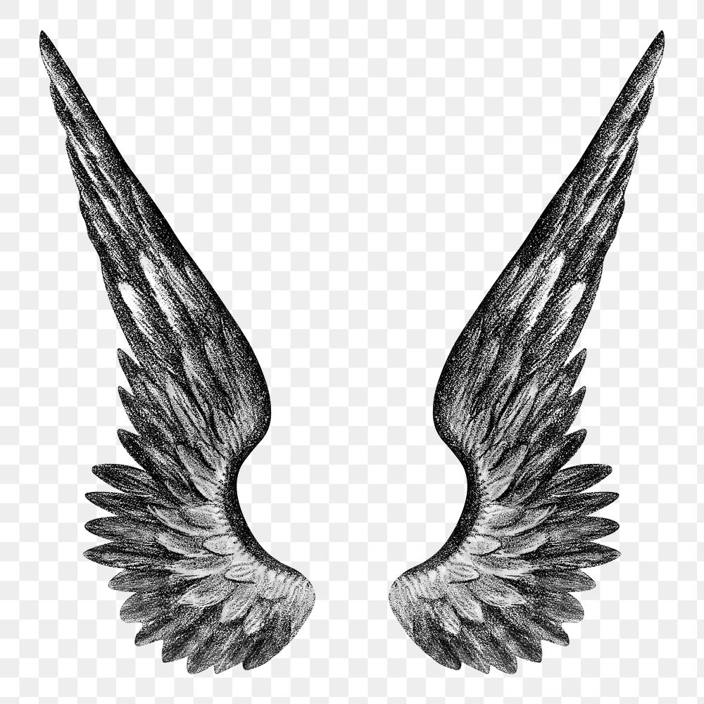 Angel's wings png, vintage illustration on transparent background. Remixed by rawpixel.