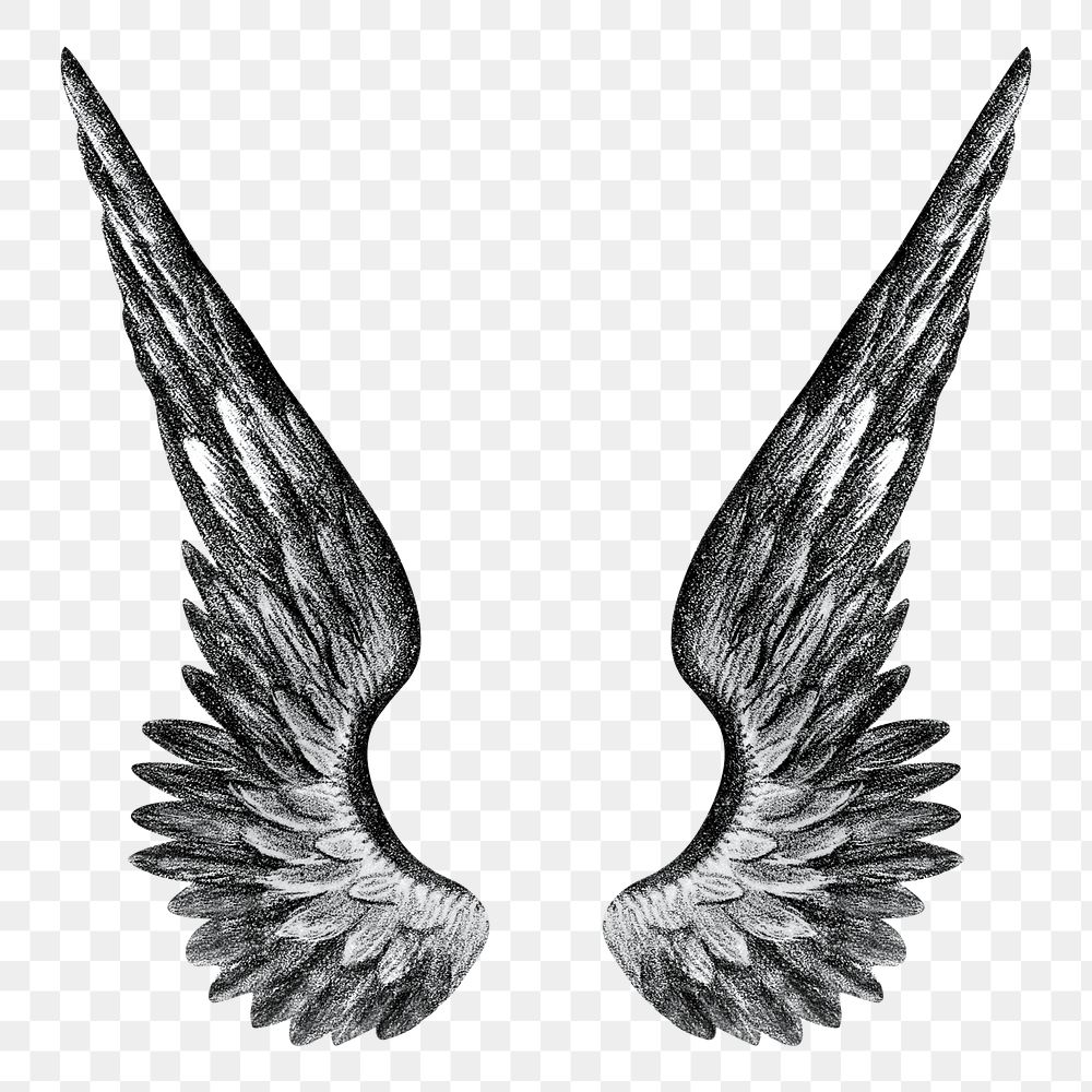 Angel's wings png, vintage illustration on transparent background. Remixed by rawpixel.