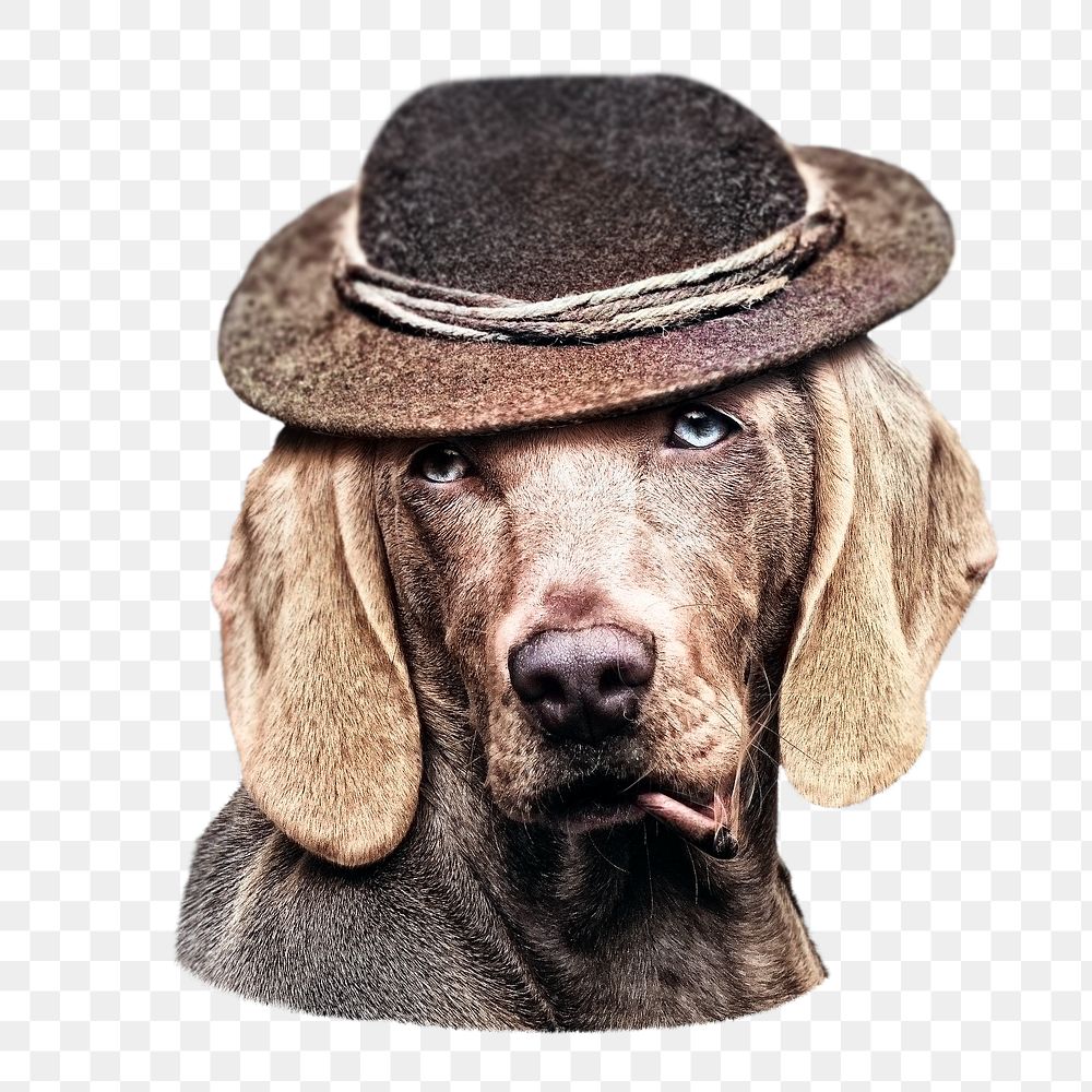 Classy dog png, design element, transparent background