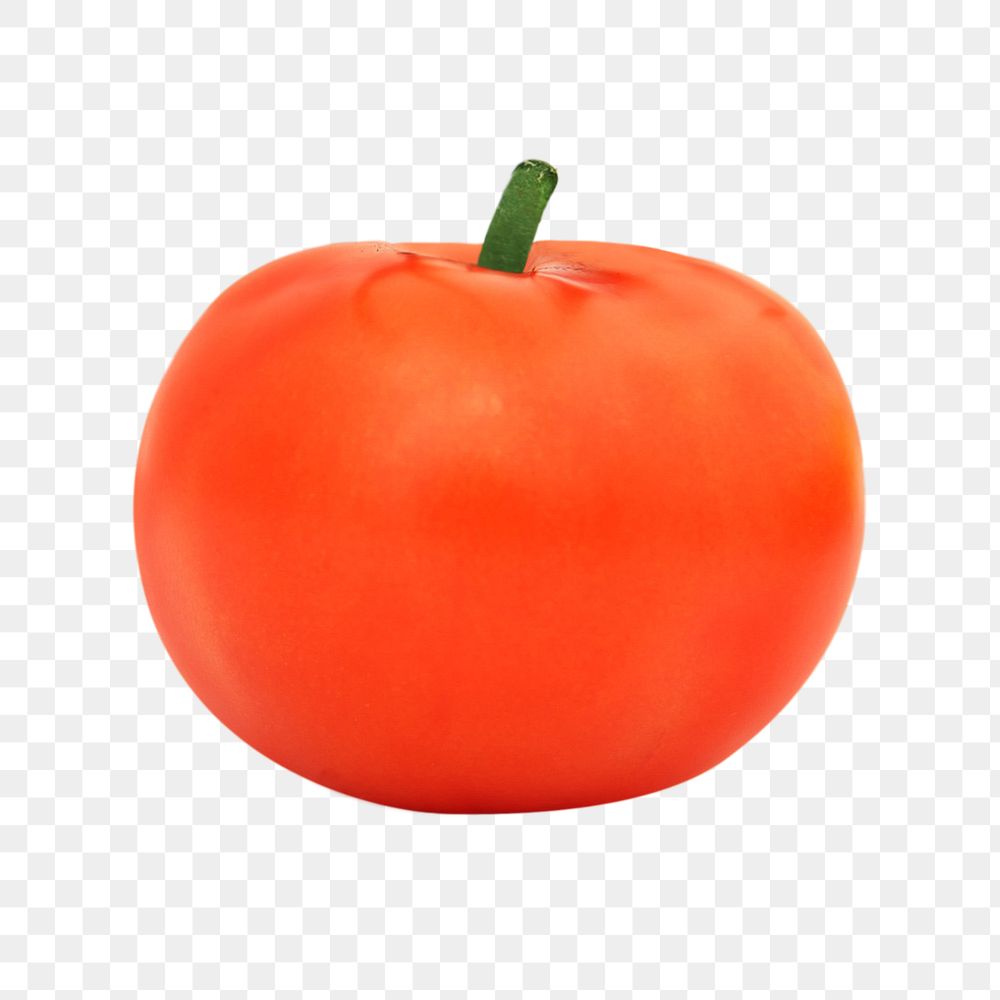 Tomato vegetable png, transparent background