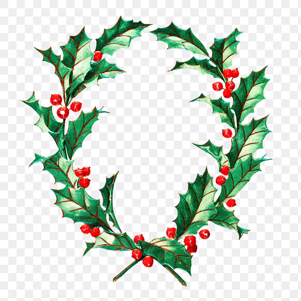 Png holly christmas wreath illustration, isolated object, transparent background