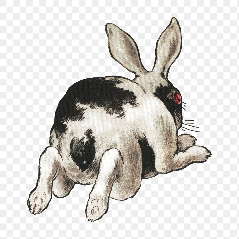 Rabbit png, vintage animal illustration, transparent background. Remixed by rawpixel.