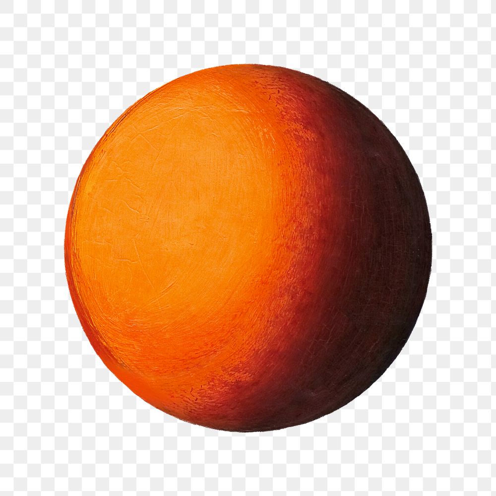 Orange ball png still life by Vilhelm Lundstrom on transparent background. Remixed by rawpixel.