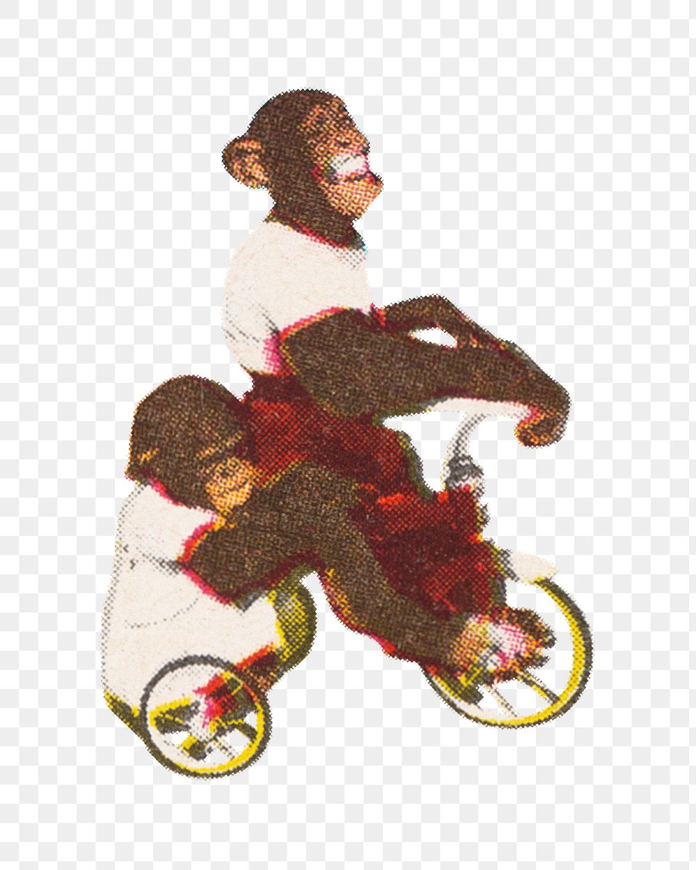 Chimpanzees riding tricycle png, animal illustration on transparent background. Remixed by rawpixel.