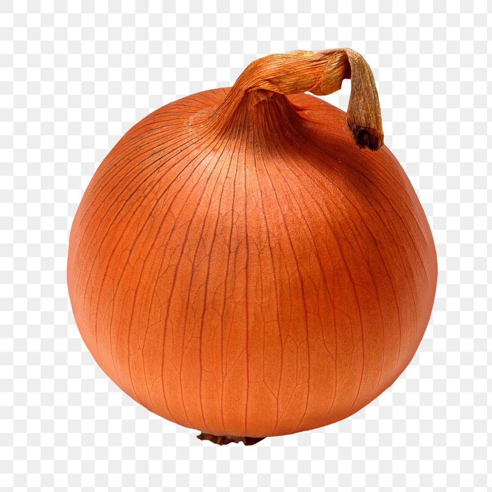 Onion png collage element on transparent background