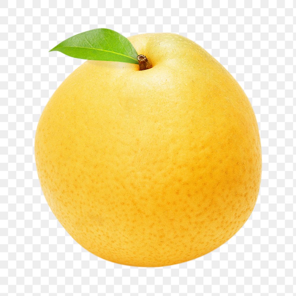 Png pear, transparent background