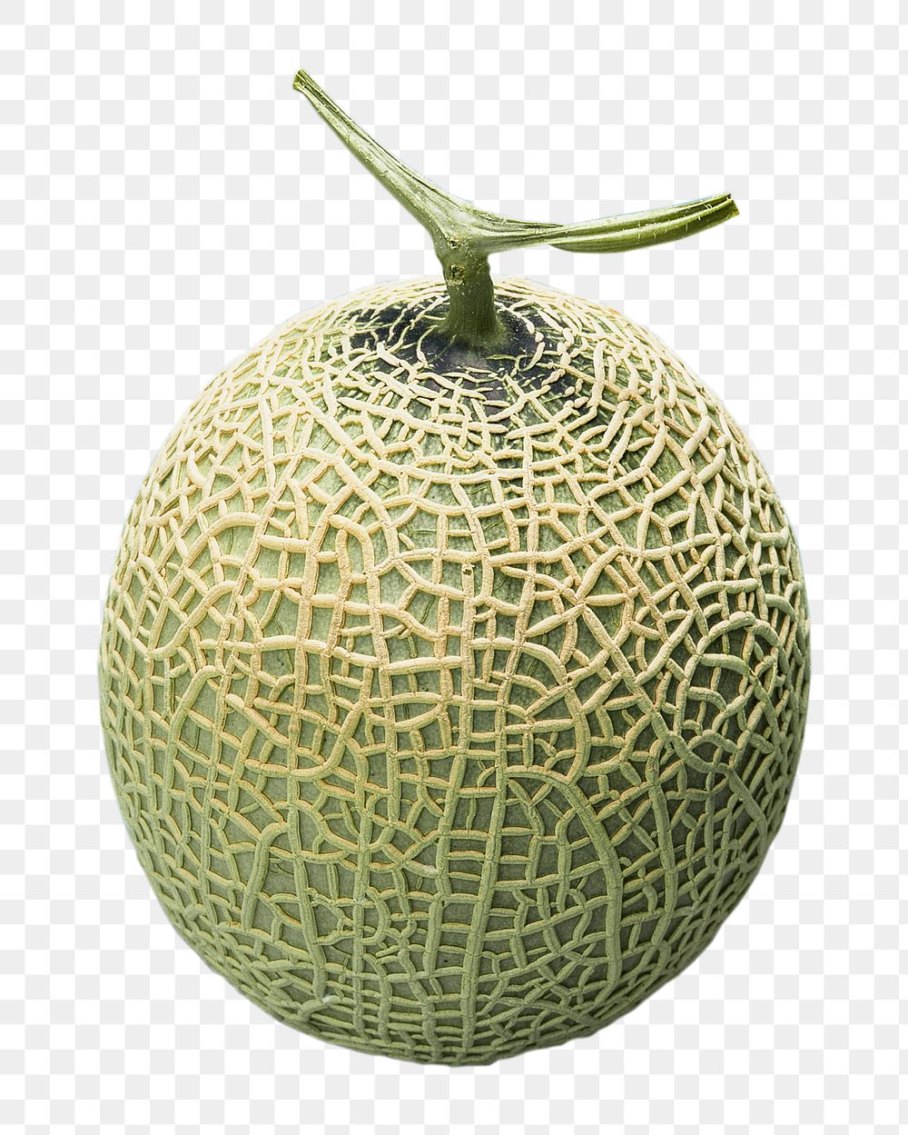 Png melon, transparent background