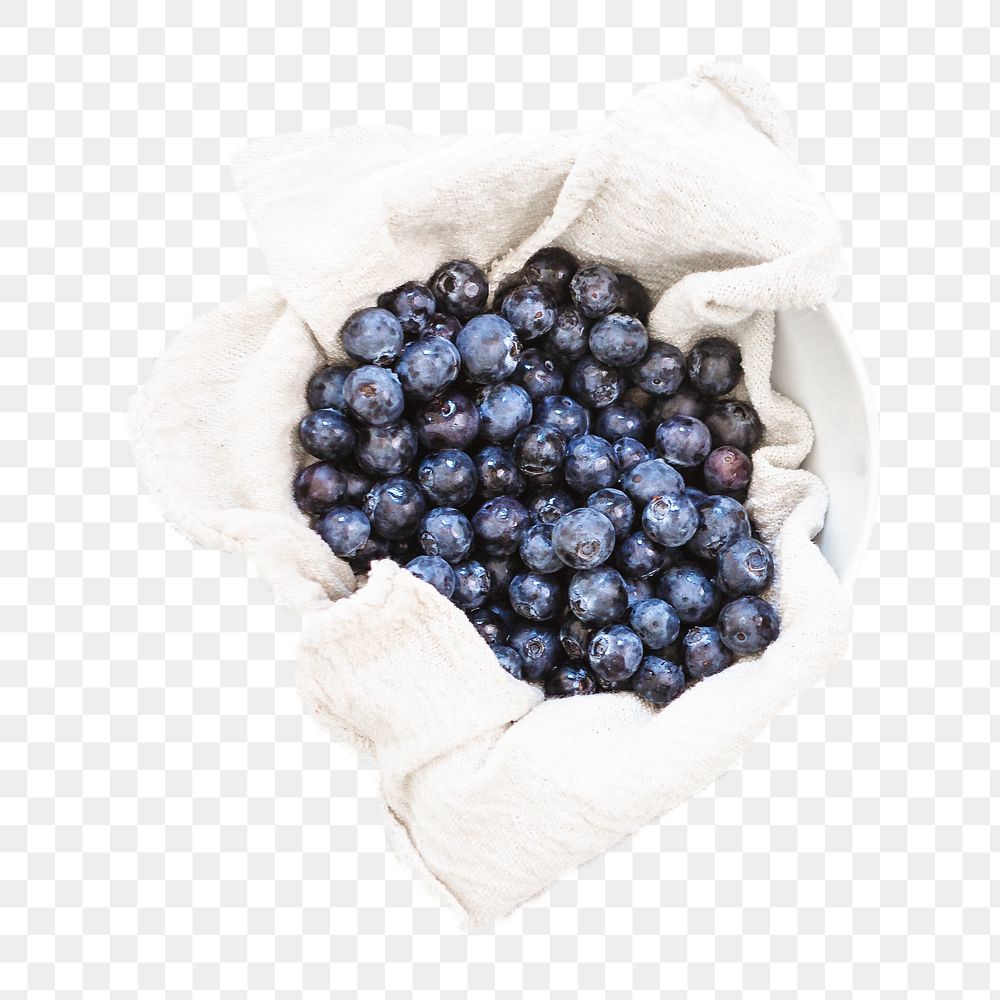 Png blueberry, transparent background