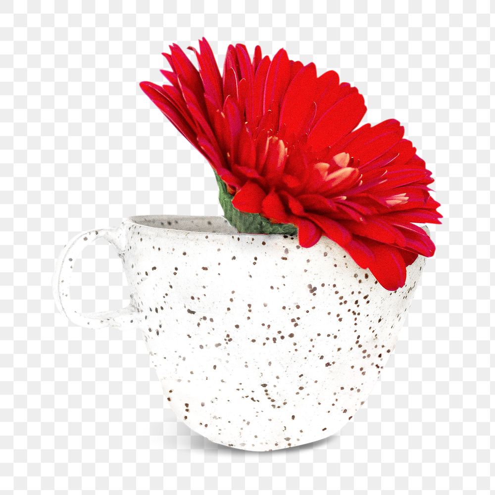 Red gerbera cup png collage element, transparent background