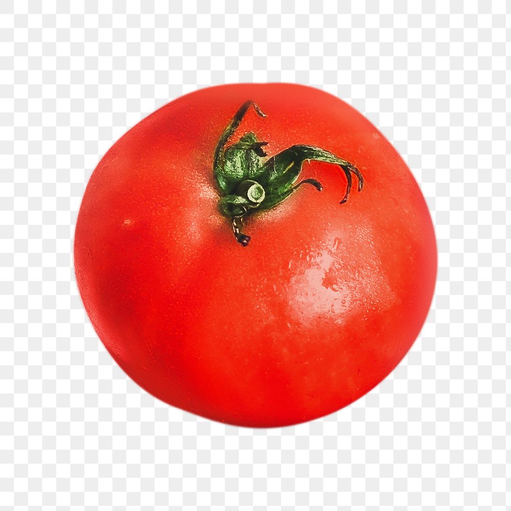 Png tomato, transparent background