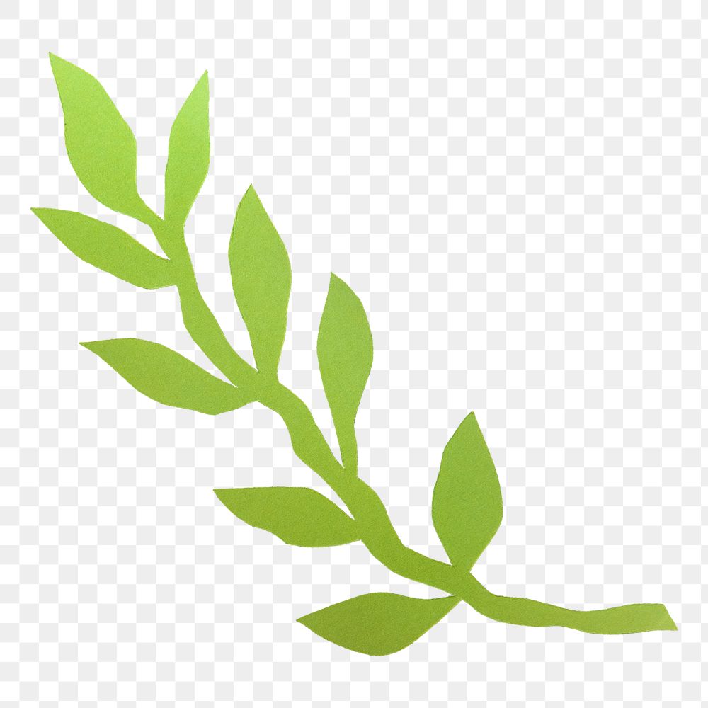 Plant png doodle, green collage element, transparent background