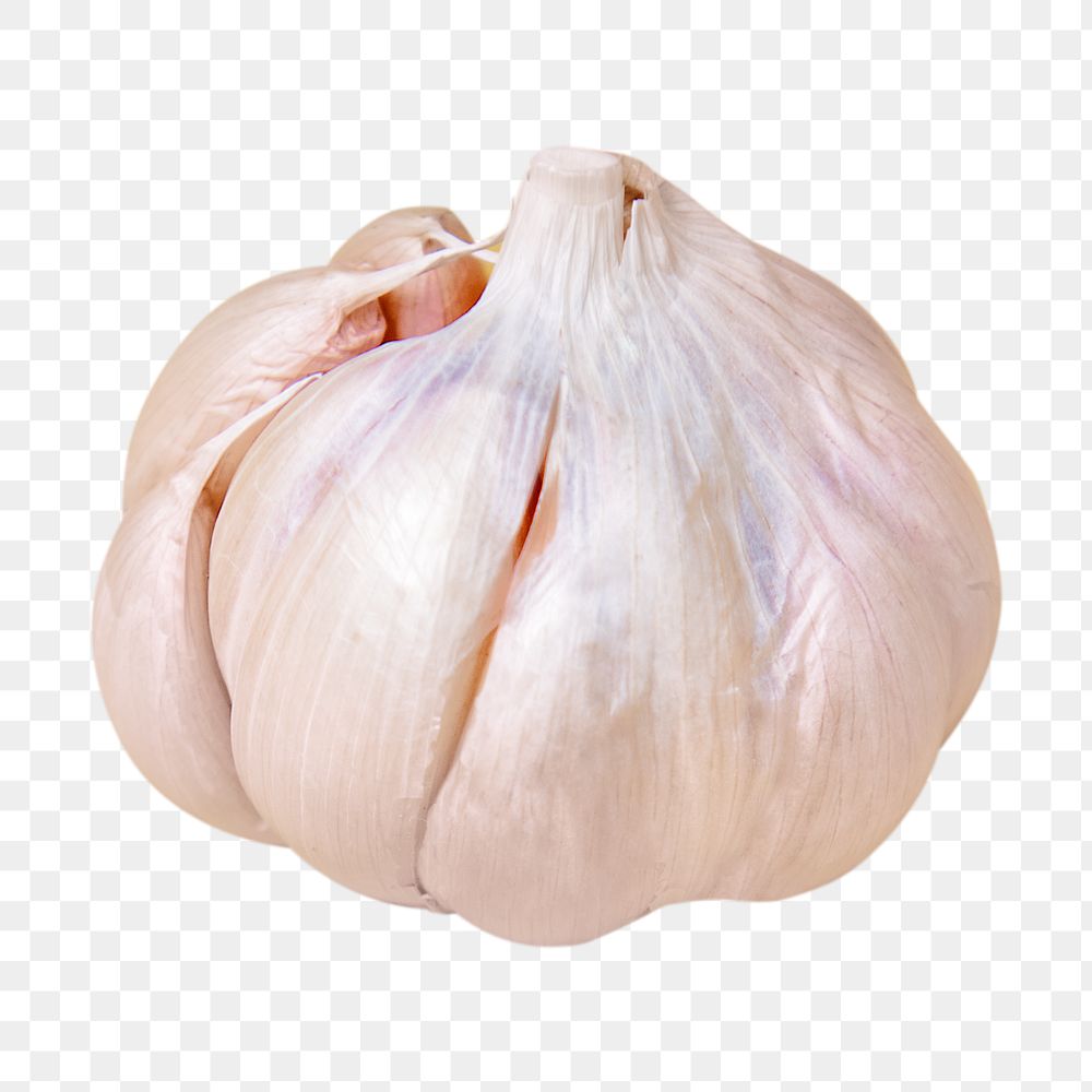 Garlic cloves png collage element on transparent background