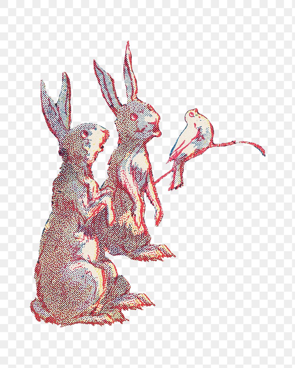 PNG Two bunnies cartoon, vintage animal illustration by Wells, Richardson & Co, transparent background.  Remixed by…