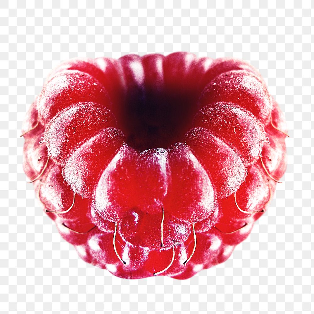 Png raspberry, transparent background