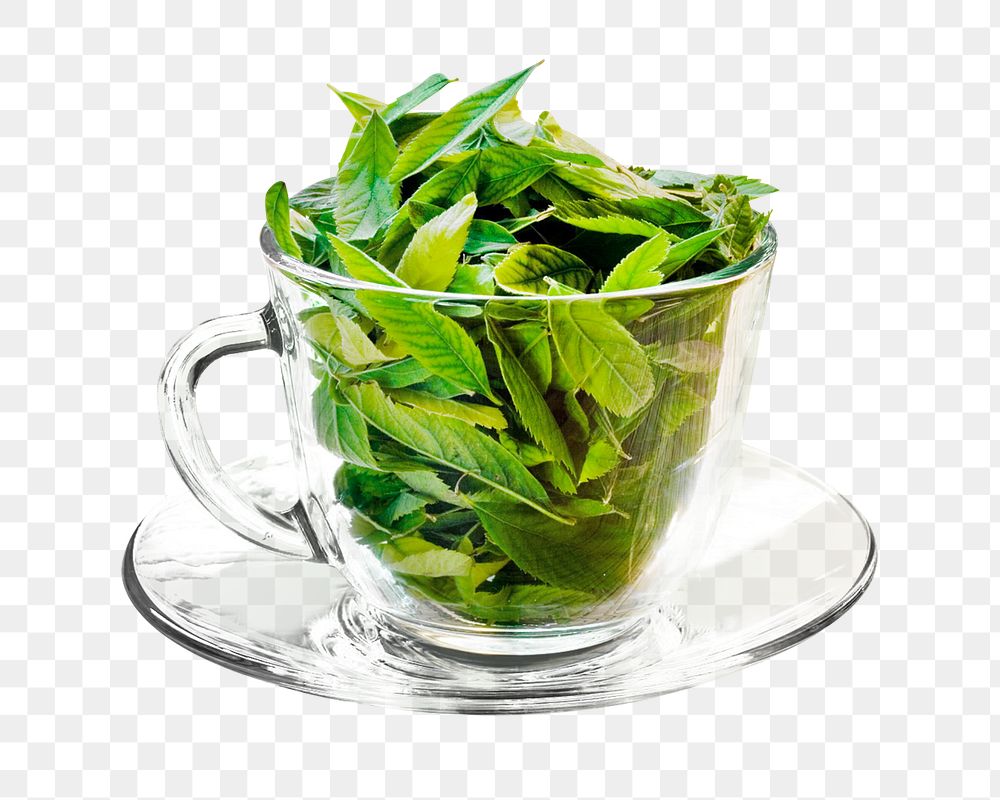 Green tea png, transparent background