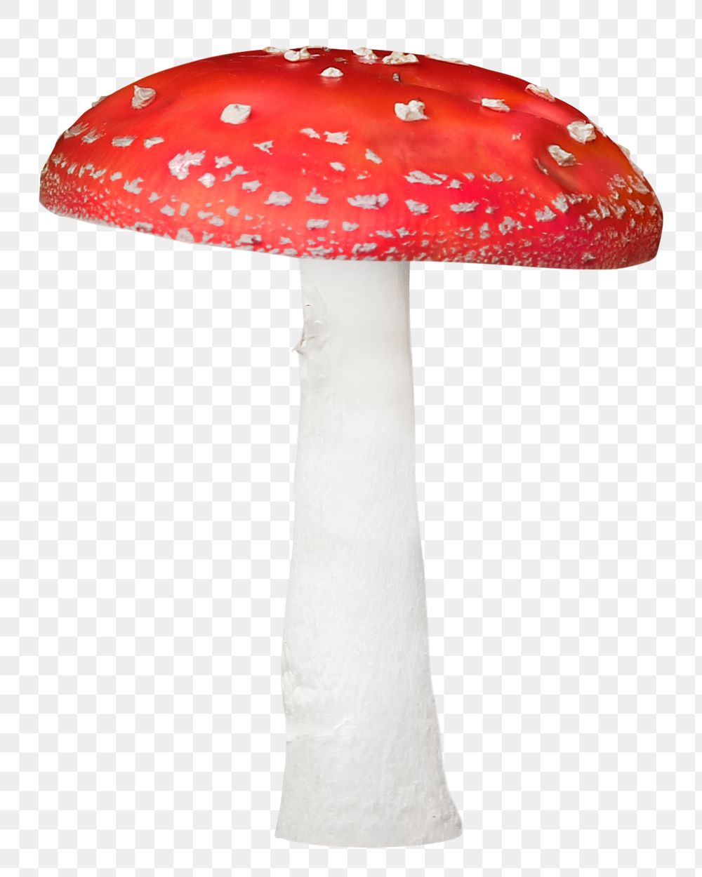 Fly amanita mushroom png, transparent background