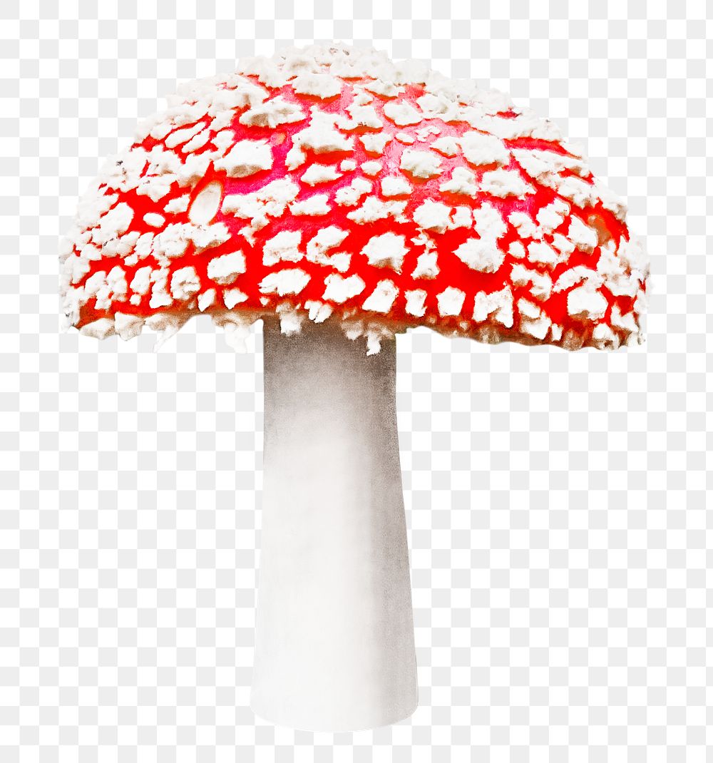 Poisonous mushroom png, transparent background