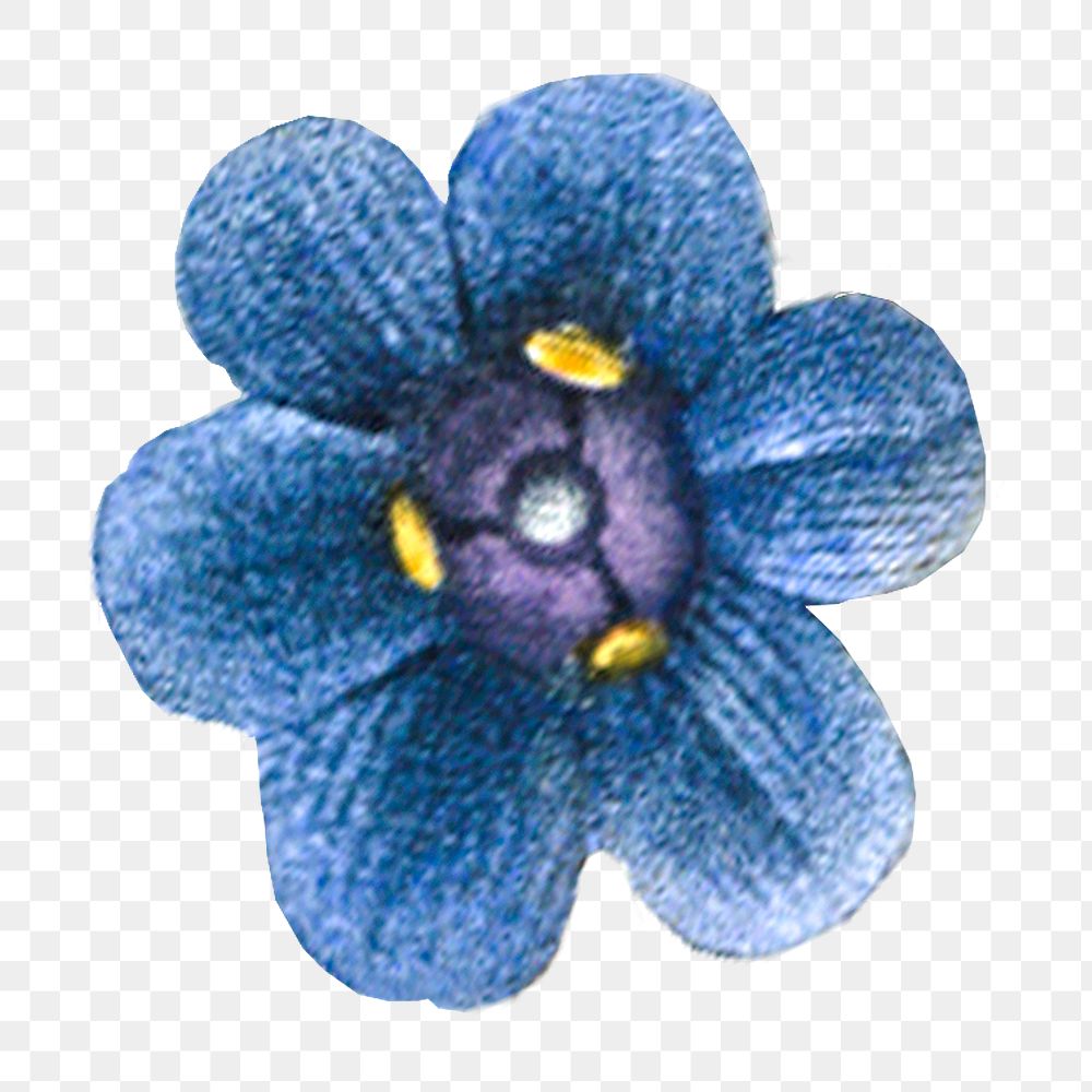 Png vintage blue violet flower, transparent background