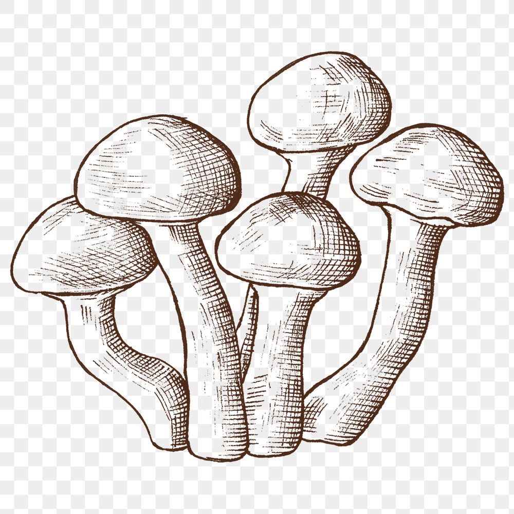 Png mushroom illustration collage element, transparent background