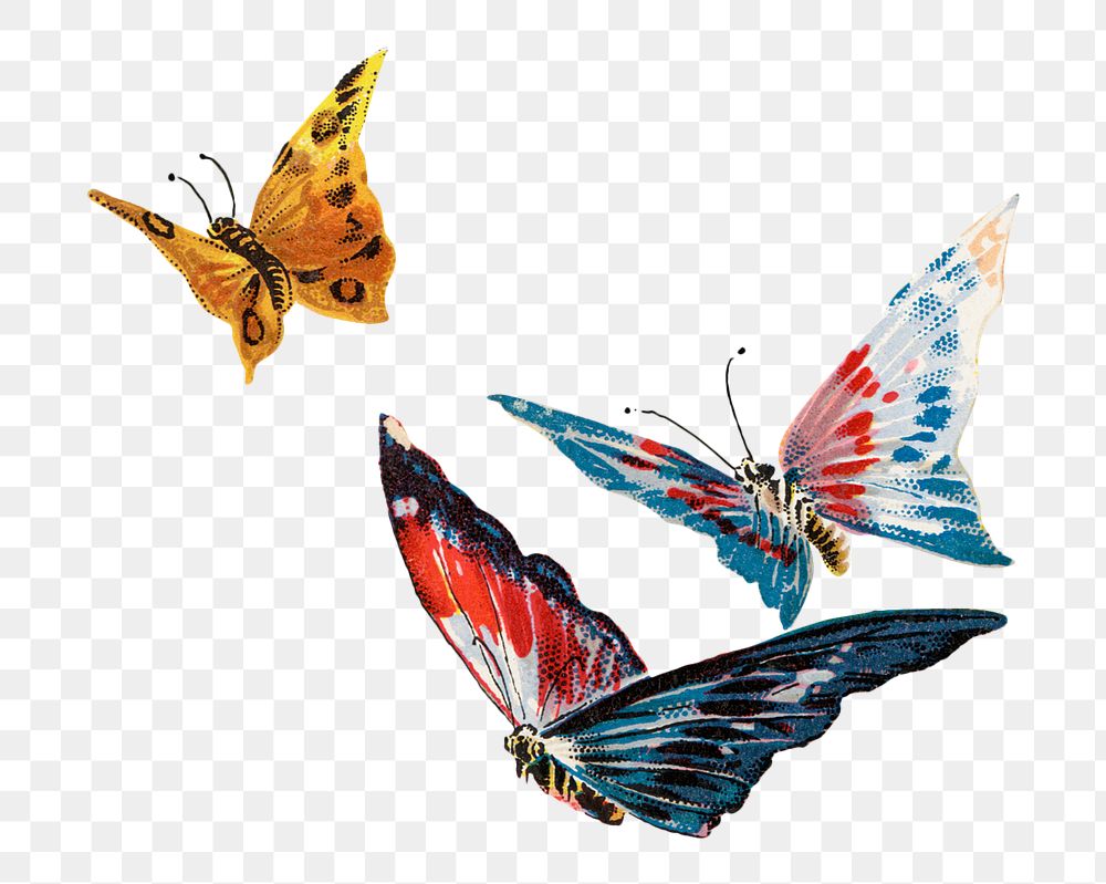 Colorful butterflies png animal, transparent background. Remixed by rawpixel.
