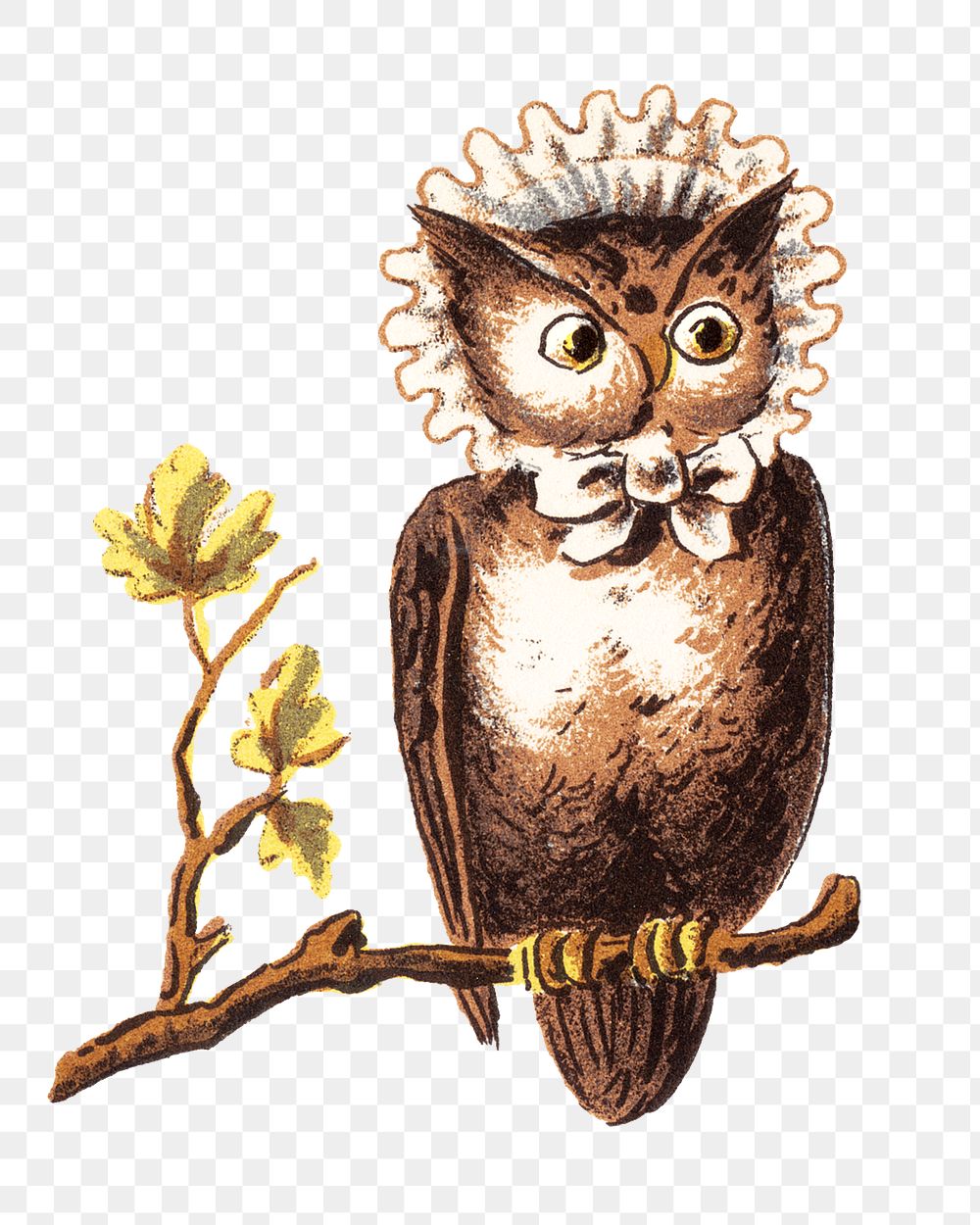 Vintage owl png bird, transparent background. Remixed by rawpixel.