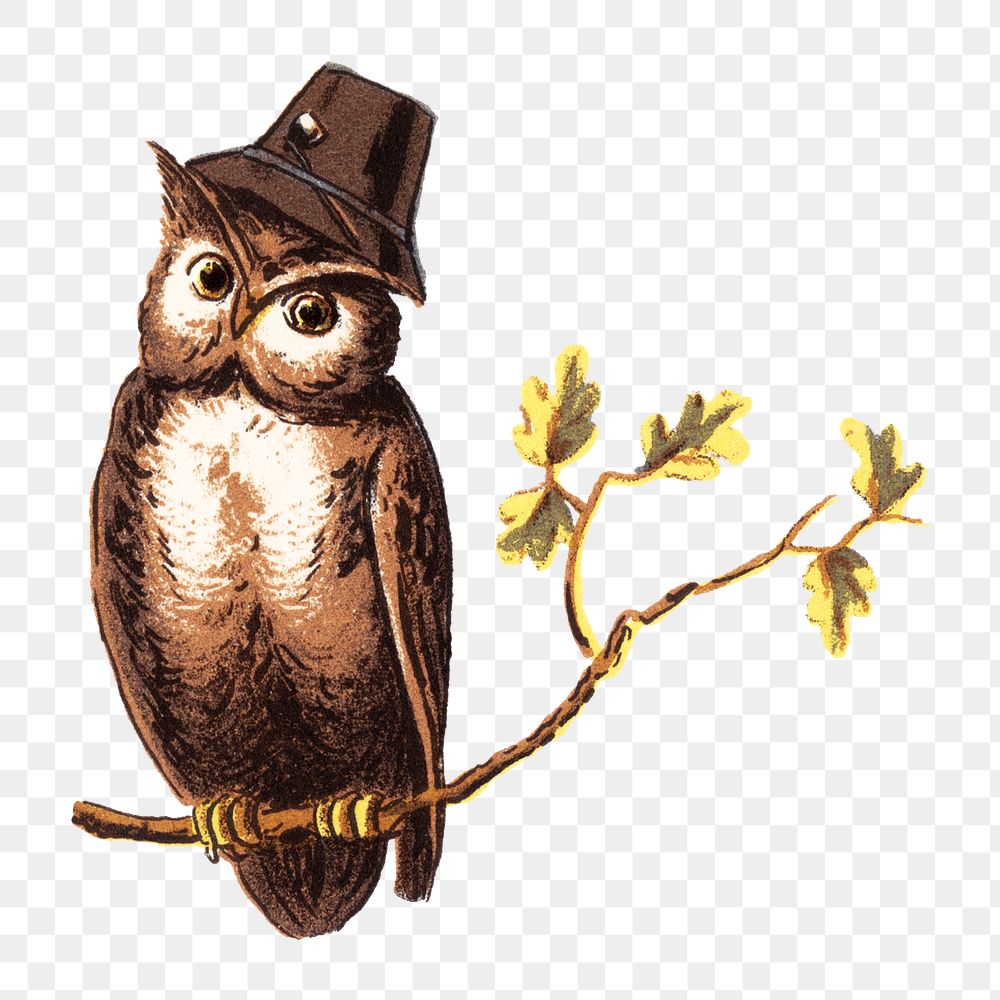 Vintage owl png bird, transparent background. Remixed by rawpixel.