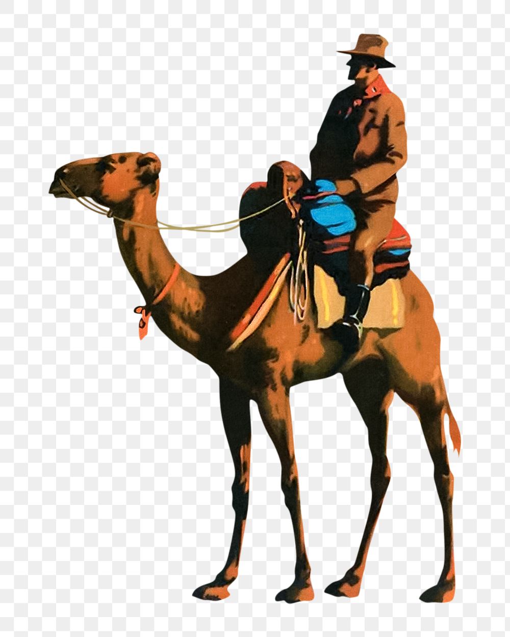 PNG vintage camel, transparent background. Remixed by rawpixel. 