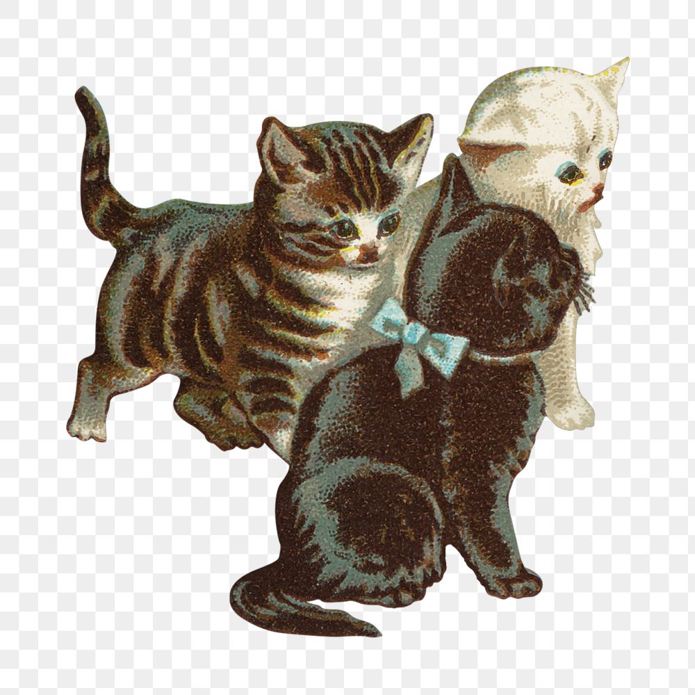 PNG Little kittens, vintage pet animal illustration, transparent background. Remixed by rawpixel.