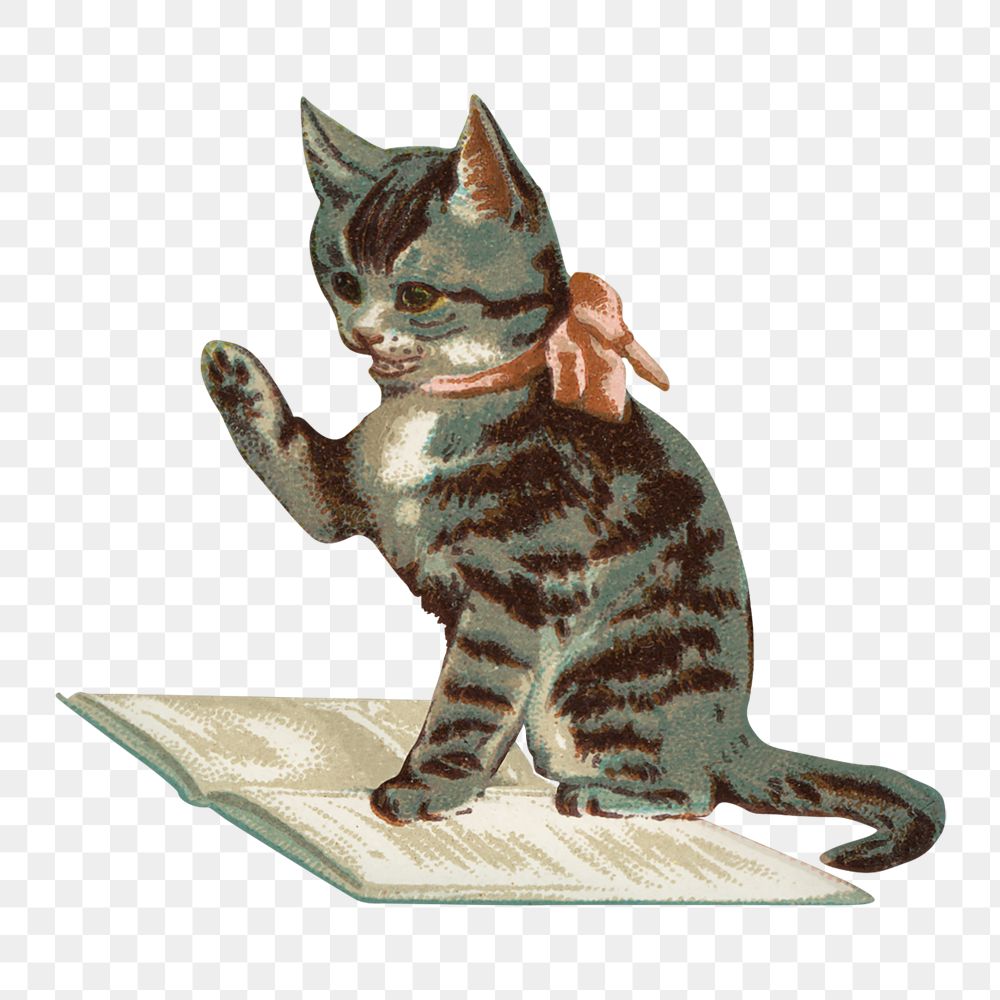 PNG Little kitten, vintage pet animal illustration, transparent background. Remixed by rawpixel.