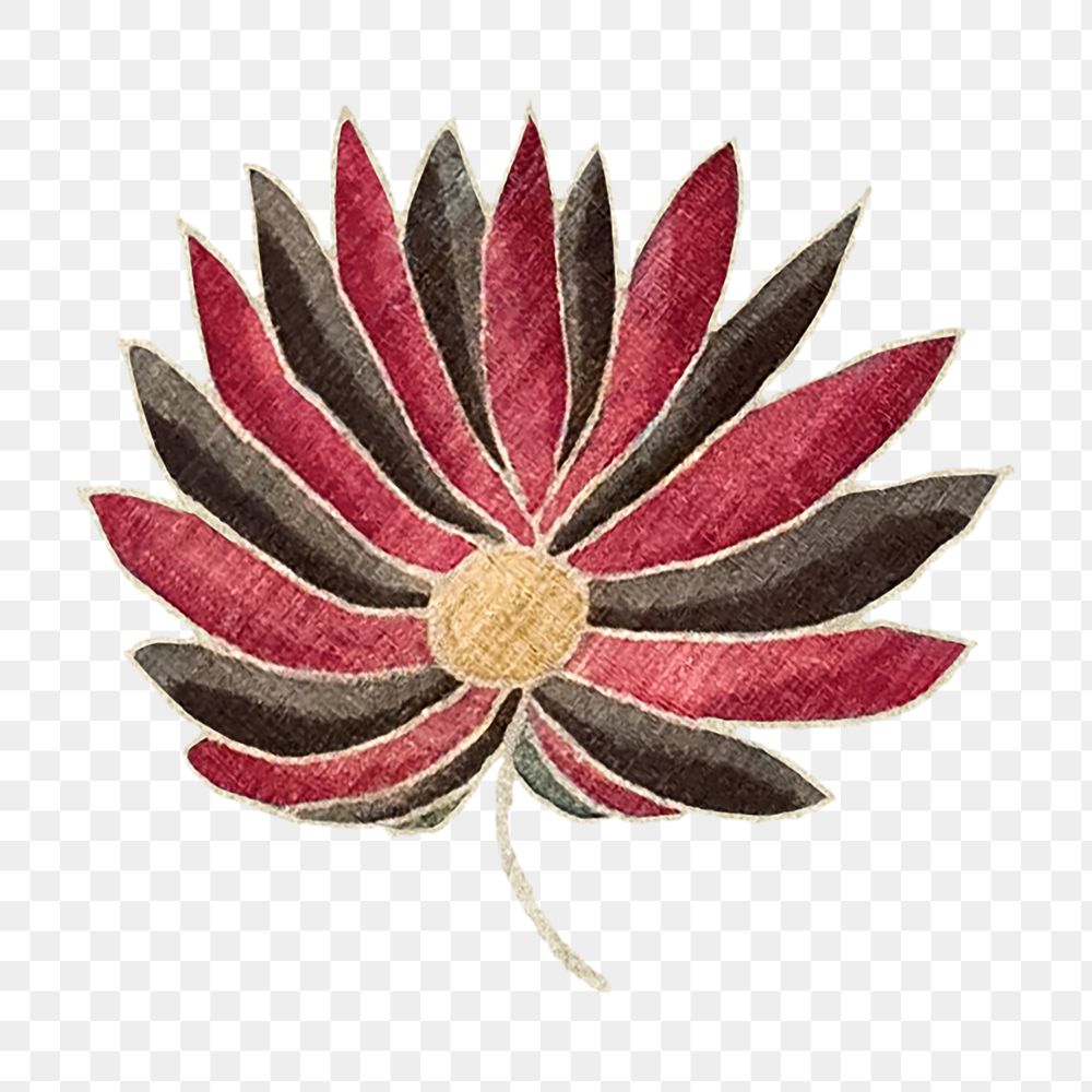 PNG Black & red flower, vintage botanical illustration, transparent background. Remixed by rawpixel.