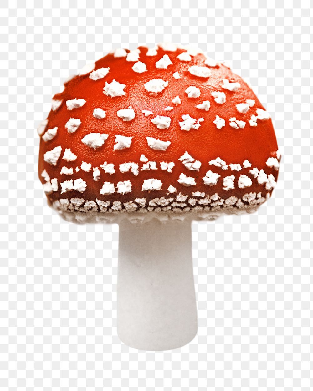 PNG Toadstool mushroom, fly agaric, collage element, transparent background.
