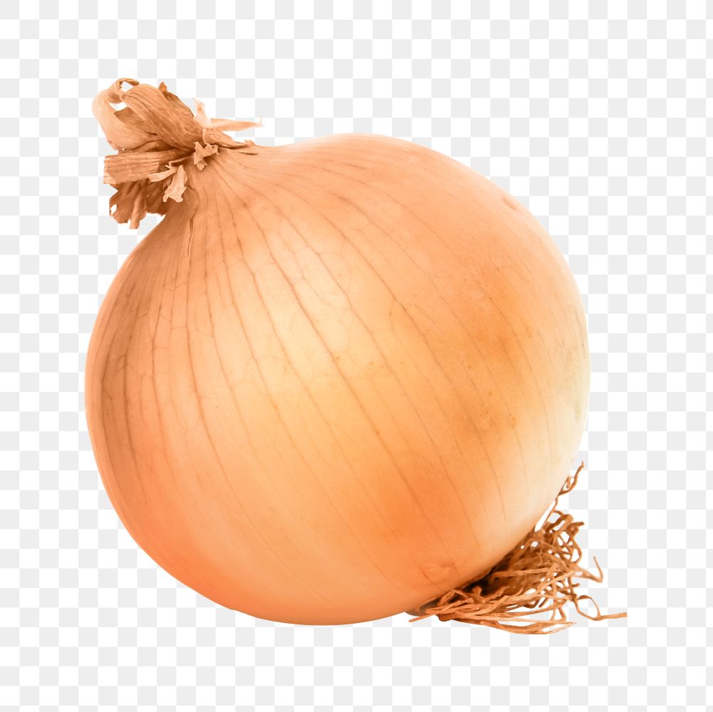 PNG onion, collage element, transparent background