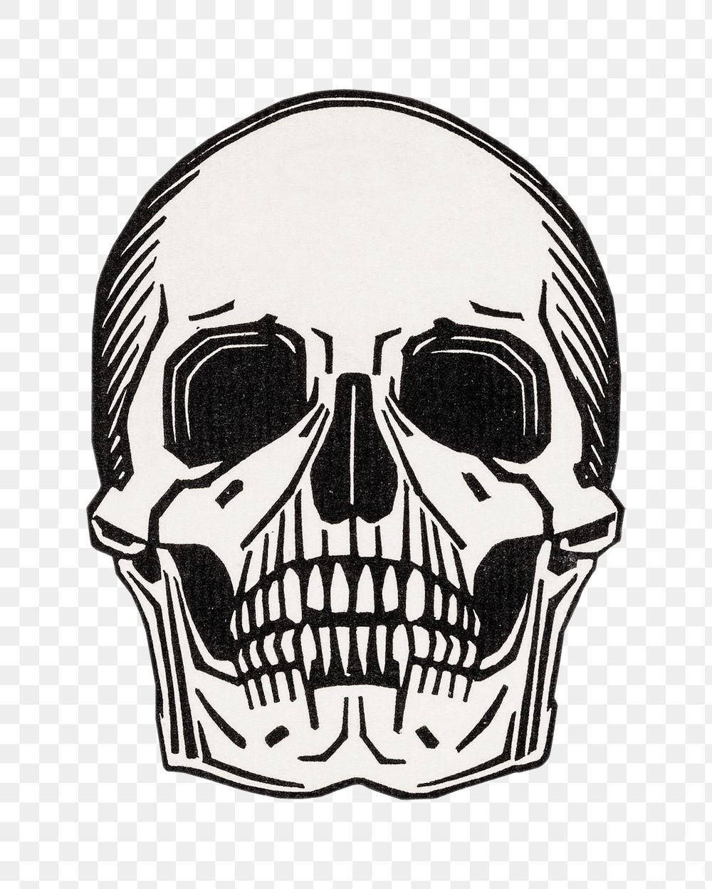 Png skull line art illustration, transparent background