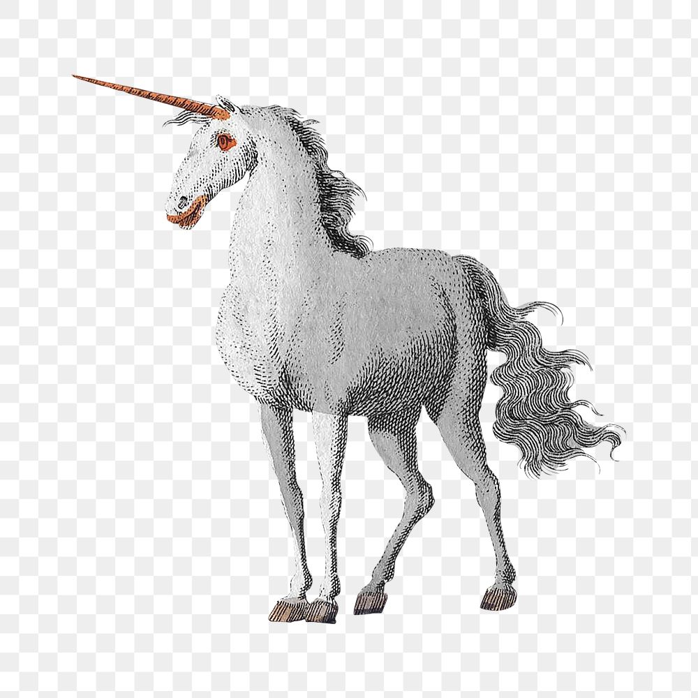 Unicorn png vintage illustration, transparent background. Remixed by rawpixel. 