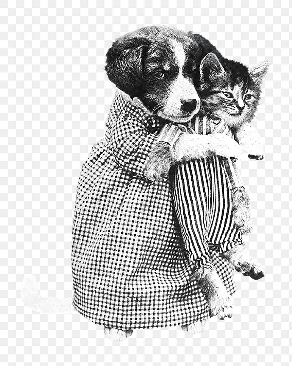 Dog hugging cat png vintage illustration, transparent background. Remixed by rawpixel. 