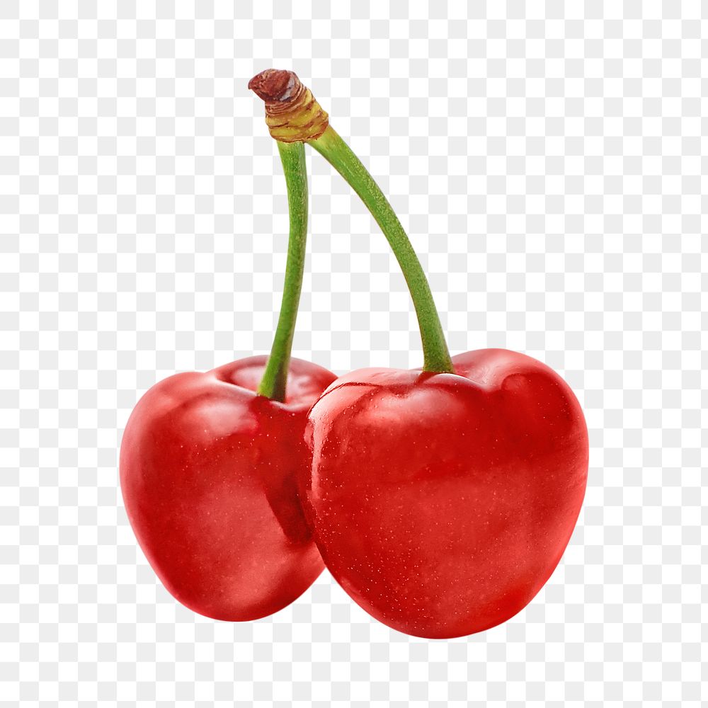 Red cherry png, transparent background