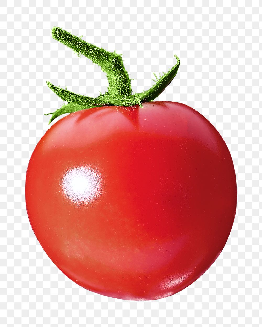 Fresh tomato png, transparent background